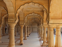 Jaipur (98)